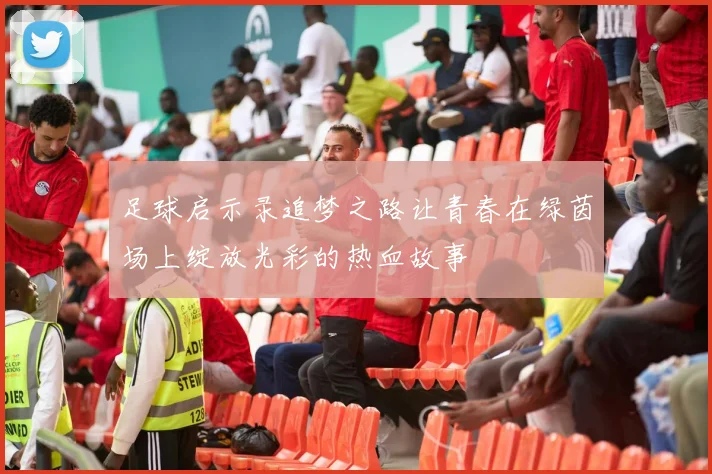 足球启示录追梦之路让青春在绿茵场上绽放光彩的热血故事