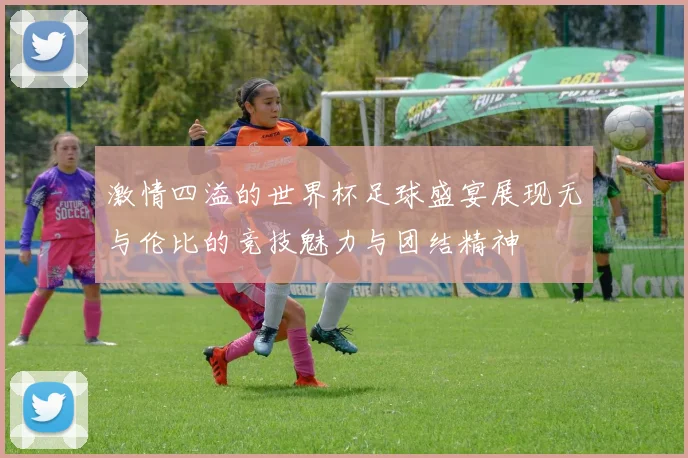 激情四溢的世界杯足球盛宴展现无与伦比的竞技魅力与团结精神